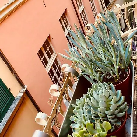 Luxury And Cozy شقة سافونا